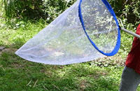 虫とり網の使い方